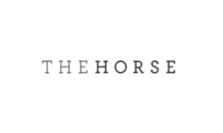 The Horse